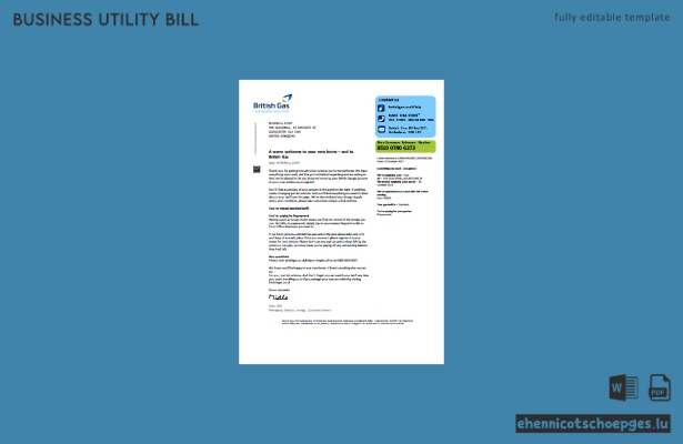 Beispielseite 1 der Geschäftsrechnung von British Gas